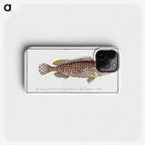 1-32_Ichtyologie-ou-Histoire-naturelle_phone