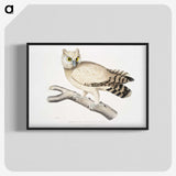1-32_Indian-Zoology_blk-crop