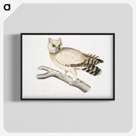 1-32_Indian-Zoology_blk-crop