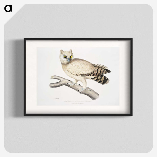 1-32_Indian-Zoology_blk