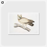1-32_Indian-Zoology_hagaki