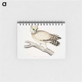 1-32_Indian-Zoology_memo