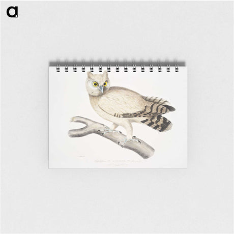 1-32_Indian-Zoology_memo