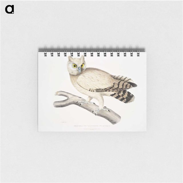 1-32_Indian-Zoology_memo