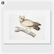 1-32_Indian-Zoology_picture