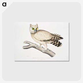 1-32_Indian-Zoology_postcard