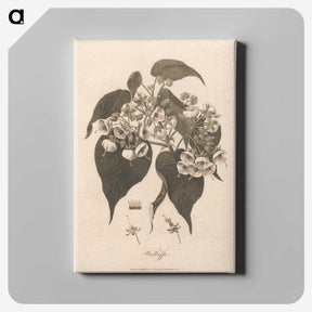 1-32_James-Heath_canvas