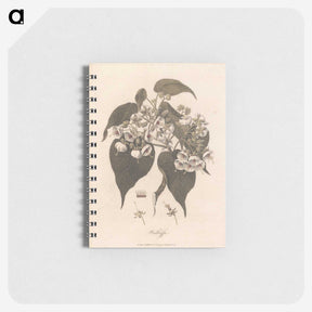 1-32_James-Heath_memo