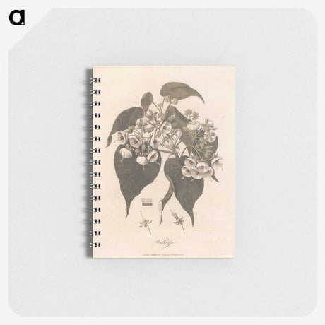 1-32_James-Heath_memo