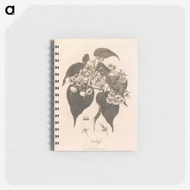 1-32_James-Heath_memo