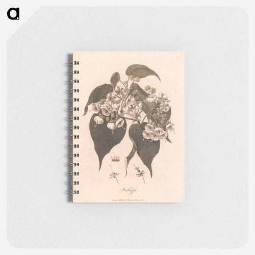 Walkuffa
 - ジェームス ヒース Memo.