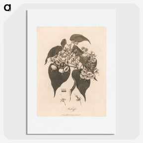 1-32_James-Heath_picture