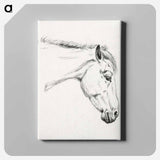 アートパネル-Head of a horse - ジャン ベルナール Canvas.