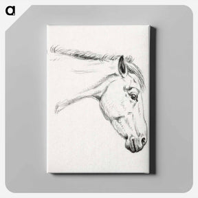 アートパネル-Head of a horse - ジャン ベルナール Canvas.