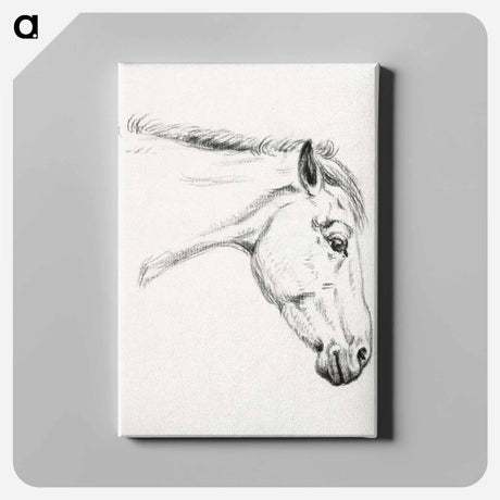 アートパネル-Head of a horse - ジャン ベルナール Canvas.