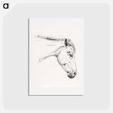 アートポストカード-Head of a horse - ジャン ベルナール Postcard.