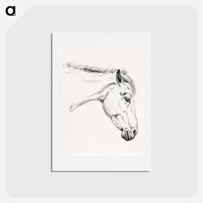 アートポストカード-Head of a horse - ジャン ベルナール Postcard.