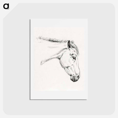 アートポストカード-Head of a horse - ジャン ベルナール Postcard.