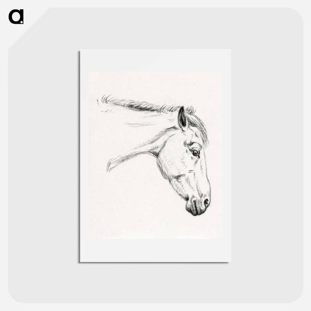 アートポストカード-Head of a horse - ジャン ベルナール Postcard.
