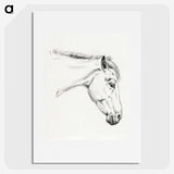 1-32_Jean-Bernard_picture