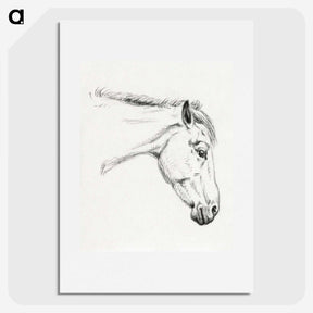 1-32_Jean-Bernard_picture