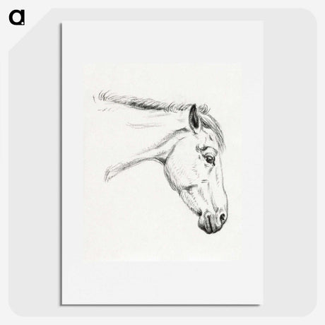 1-32_Jean-Bernard_picture