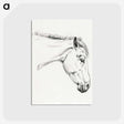 1-32_Jean-Bernard_postcard