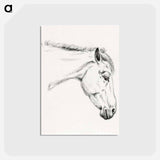 アートポストカード-Head of a horse - ジャン ベルナール Postcard.