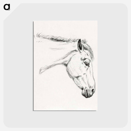 アートポストカード-Head of a horse - ジャン ベルナール Postcard.