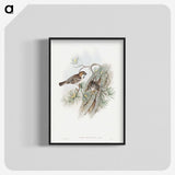 1-32_John-Gould_blk-crop