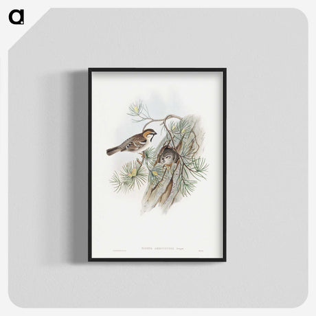 1-32_John-Gould_blk-crop