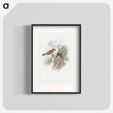 1-32_John-Gould_blk