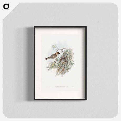 1-32_John-Gould_blk