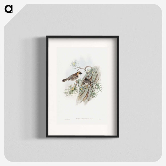 1-32_John-Gould_blk