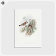 アートポストカード-Turkestan Sparrow
 - ジョン グールド Postcard.