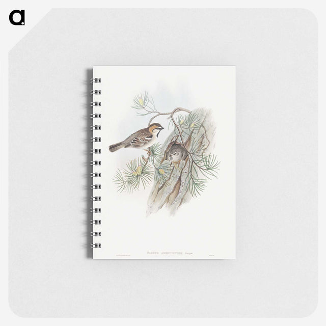 1-32_John-Gould_memo