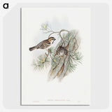 1-32_John-Gould_picture-crop