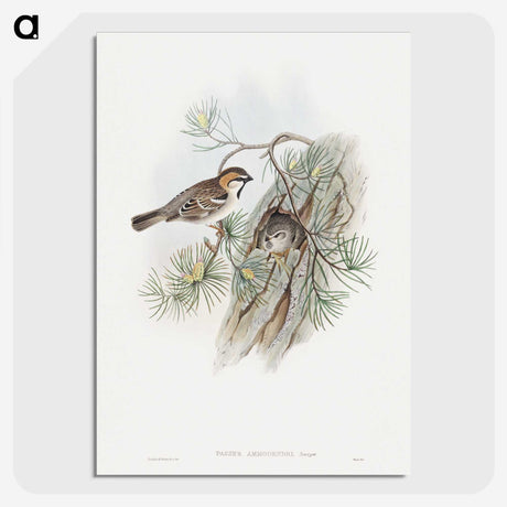 1-32_John-Gould_picture-crop