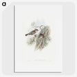 1-32_John-Gould_picture