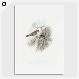 1-32_John-Gould_picture