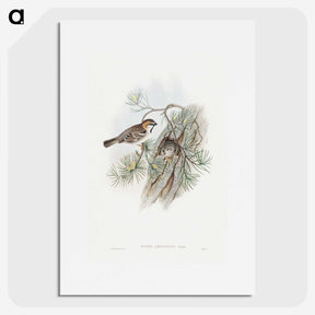1-32_John-Gould_picture