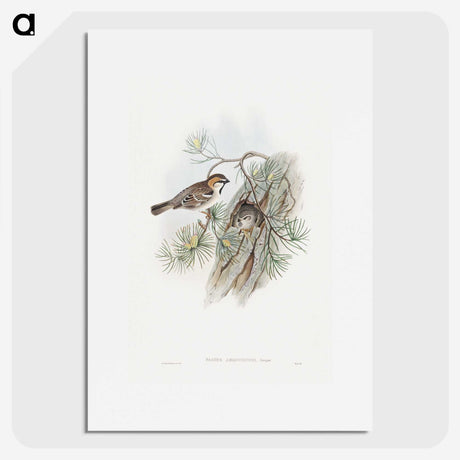 1-32_John-Gould_picture