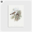 1-32_John-Gould_postcard