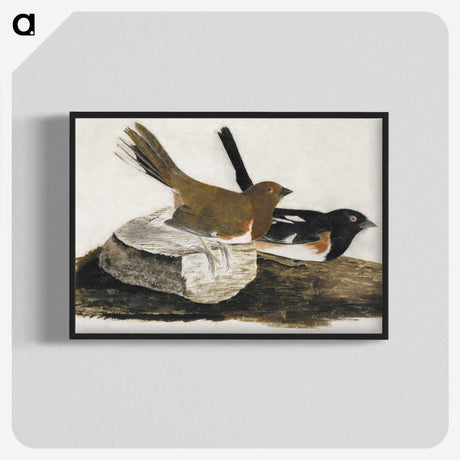 1-32_John-James-Audubon_blk-crop