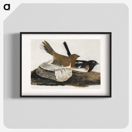1-32_John-James-Audubon_blk