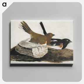 1-32_John-James-Audubon_canvas