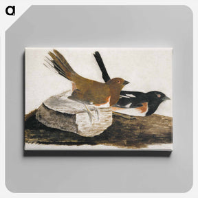 アートパネル-Towhee Bunting
 - ジョン ジェームス オーデュボン Canvas.