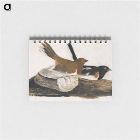 アートメモ帳-Towhee Bunting
 - ジョン ジェームス オーデュボン Memo.