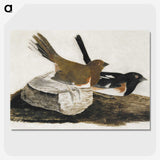 1-32_John-James-Audubon_picture-crop