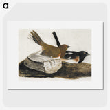 1-32_John-James-Audubon_picture